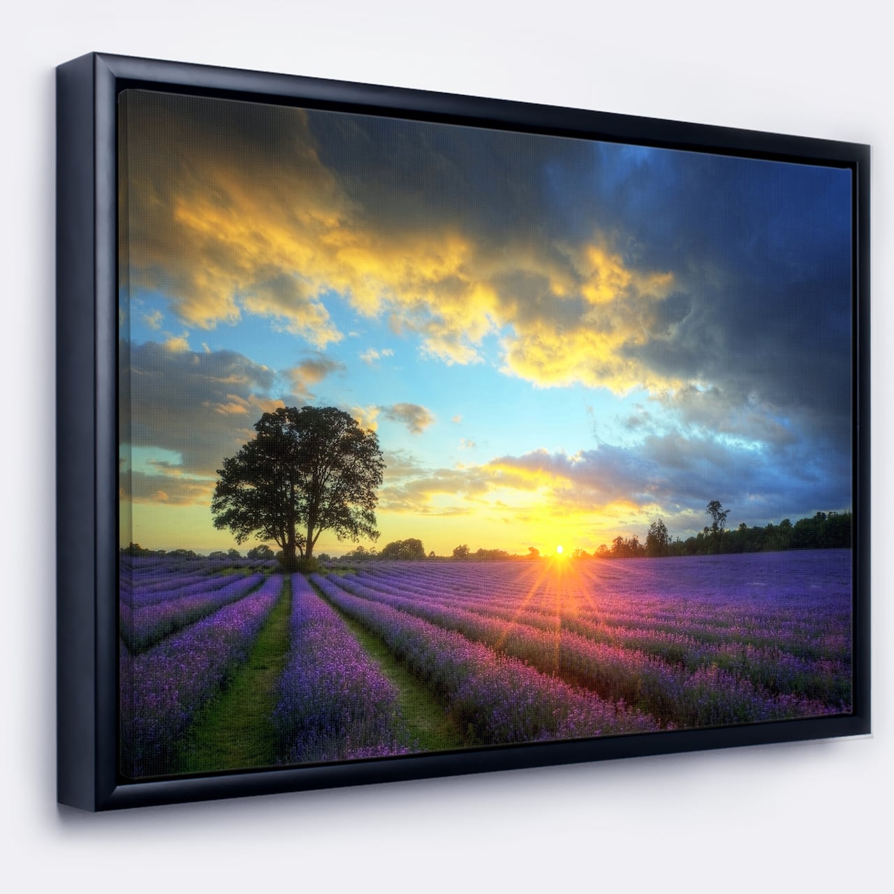 Designart - Stunning Sunset over Lavender Fields - Large Flower Canvas Wall Art in Black Frame